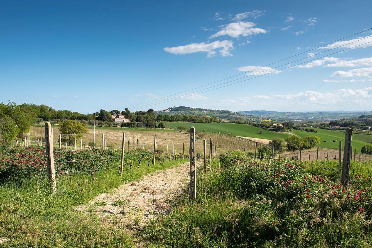 A11 - Varano, Delizioso Trilocale Con Giardino Ancona Exteriör bild