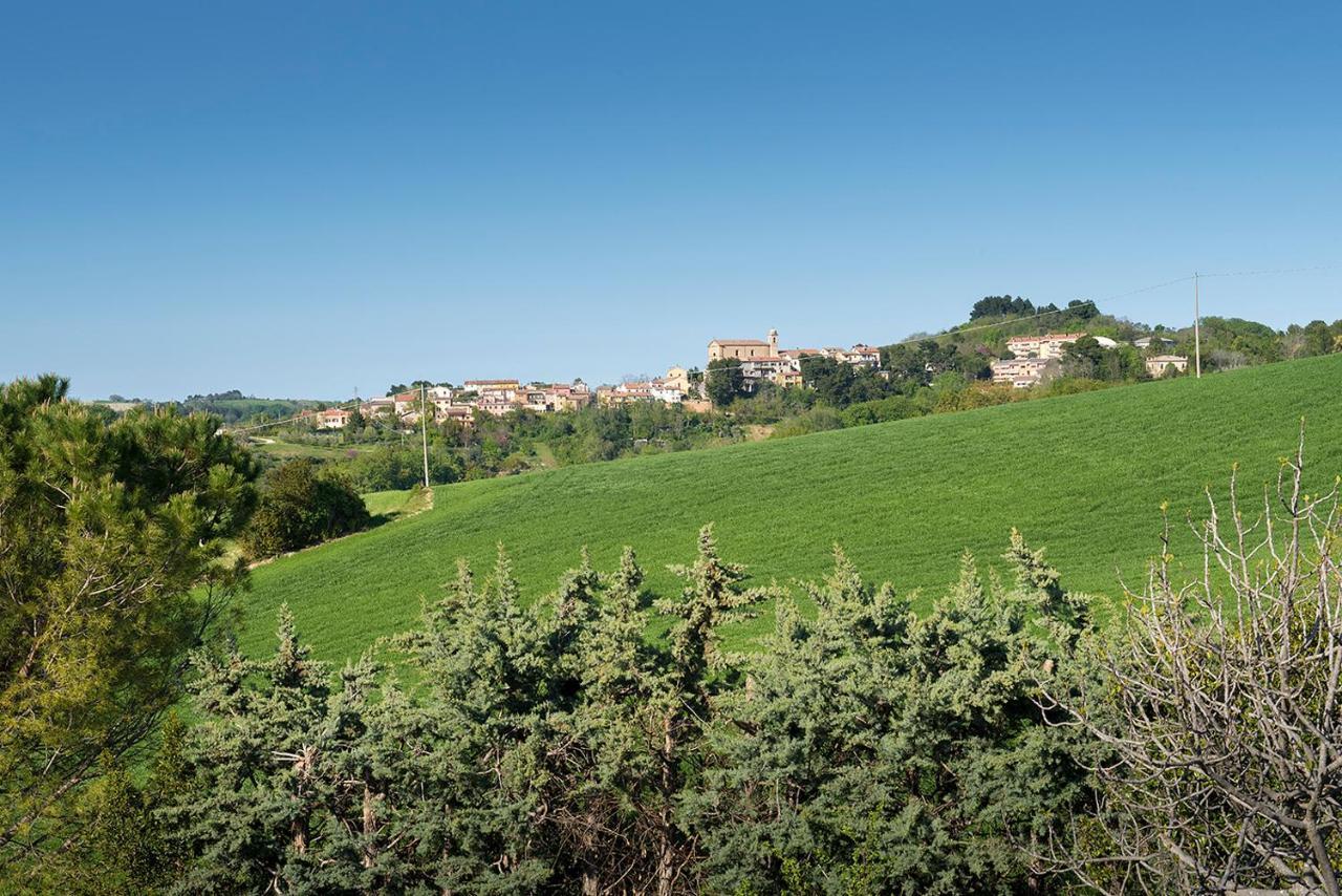 A11 - Varano, Delizioso Trilocale Con Giardino Ancona Exteriör bild
