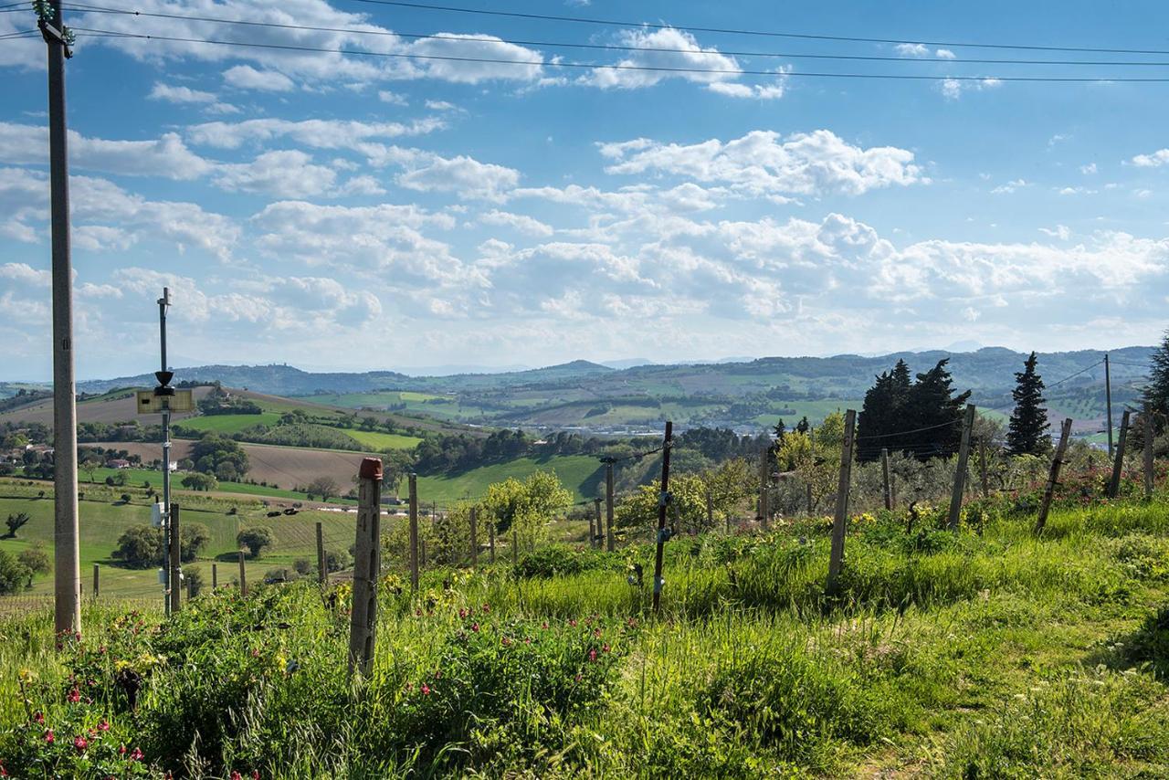 A11 - Varano, Delizioso Trilocale Con Giardino Ancona Exteriör bild