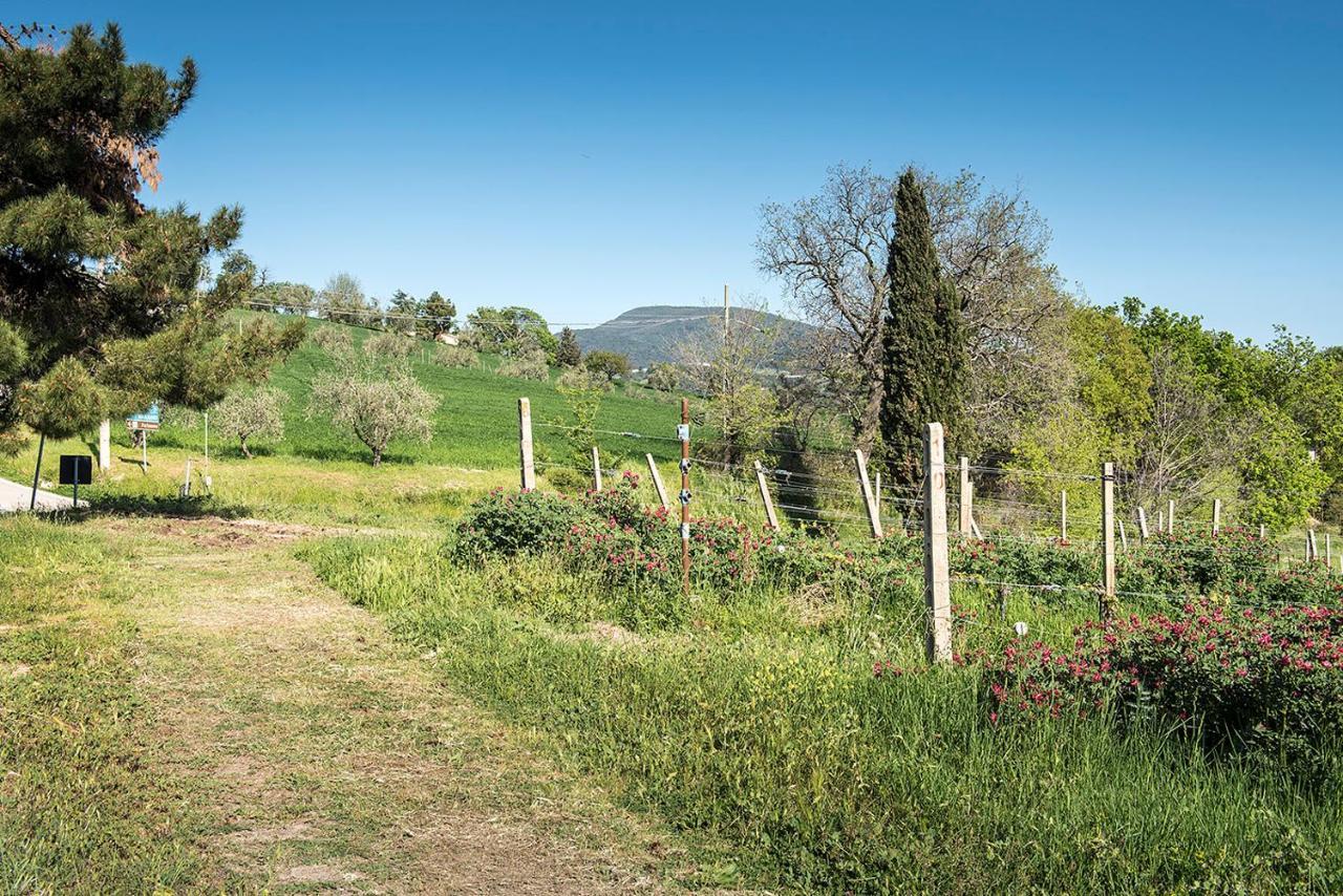 A11 - Varano, Delizioso Trilocale Con Giardino Ancona Exteriör bild